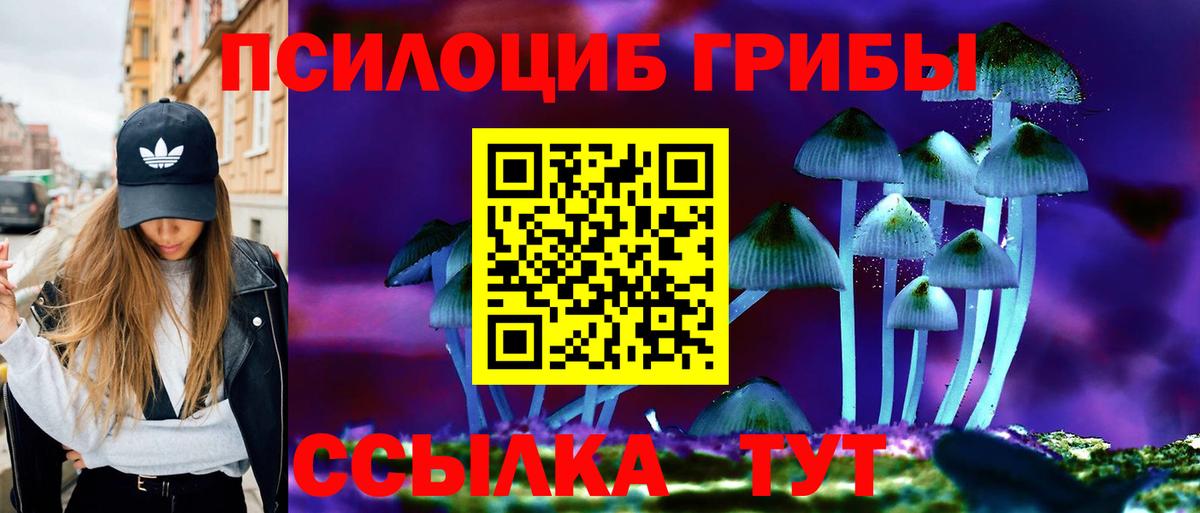 Бор  Псилоцибиновые грибы прущие грибы  сколько стоит  Вход с VPN  Псилоцибиновые грибы ЛСД 